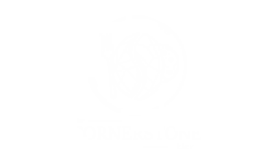 The Cornerstone Elanora